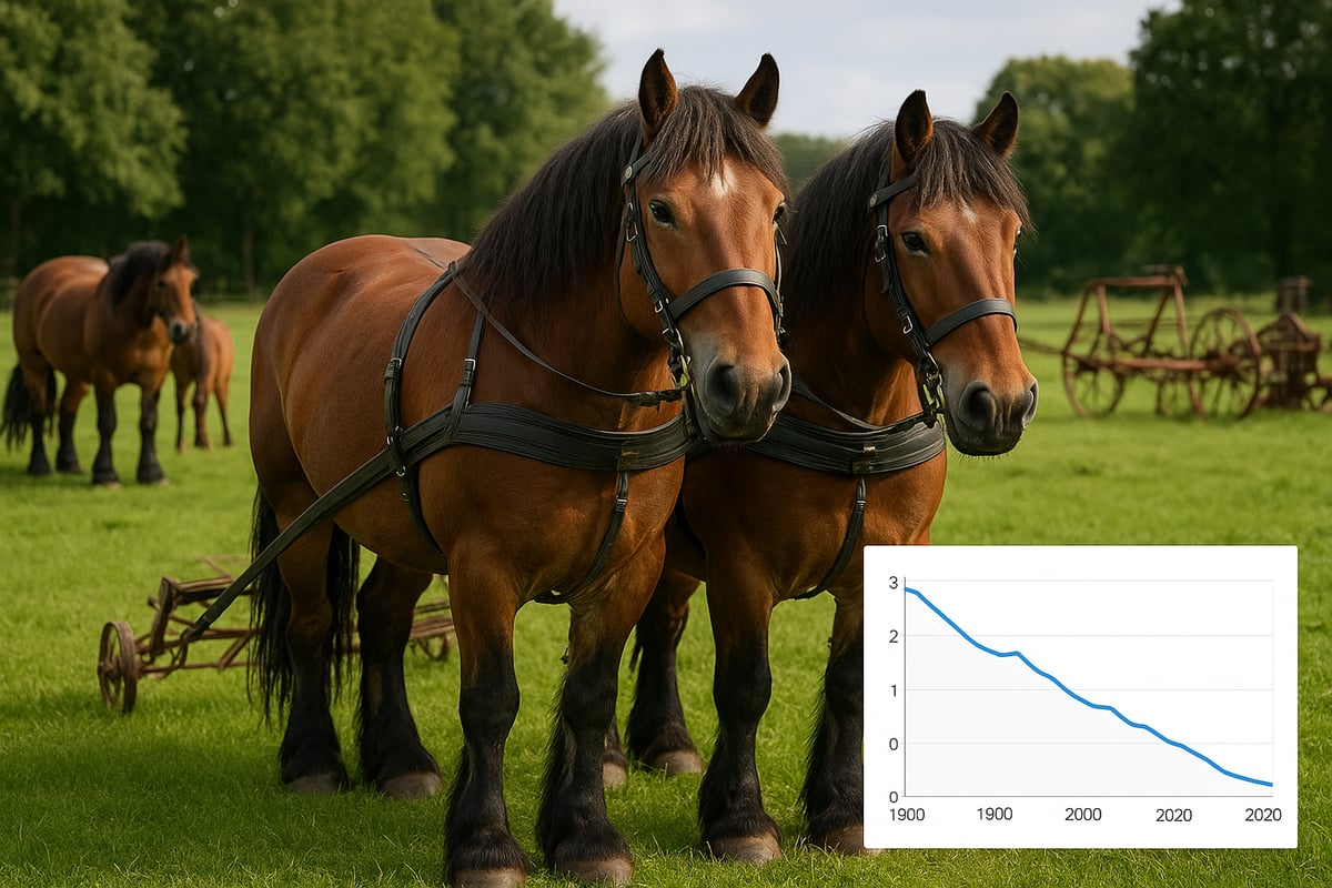 Was ist ein Zugpferd? Definition und Geschichte